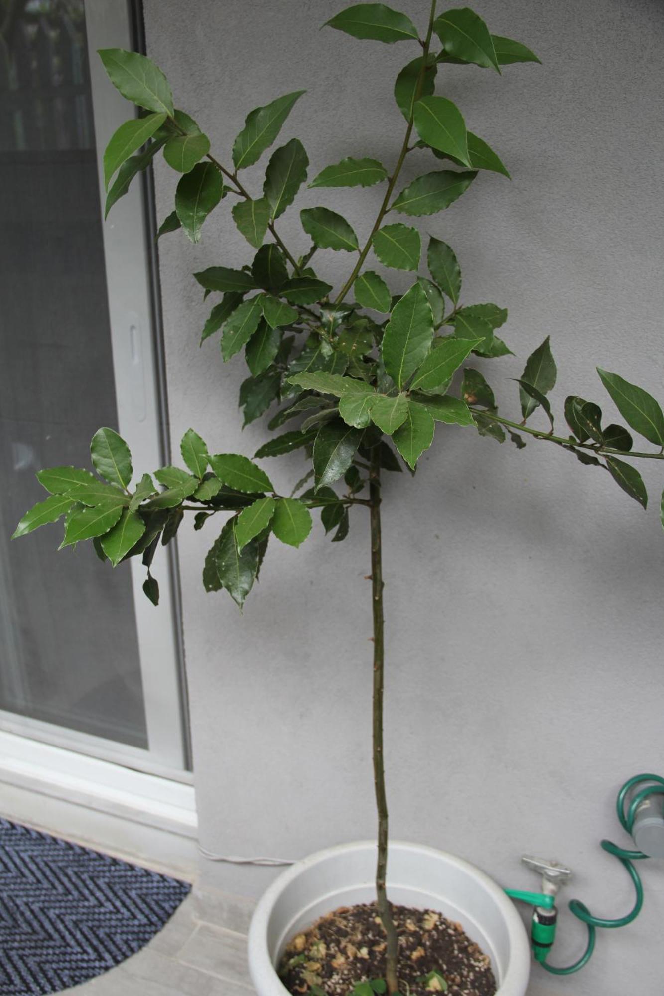 Apartment Patra Greece Dış mekan fotoğraf
